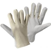 Gants de travail taille: 7, s l+d Worky nappa trikot 1705-7 1 paire(s)