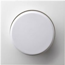 Einsatz Dimmer Modul Weiß EFP701DC 1 St. - GAO