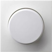 GAO - Insert Variateur Modul blanc EFP701DC 1 pc(s) S594751