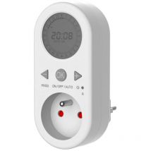 Programmateur digital avec horloge - GAO