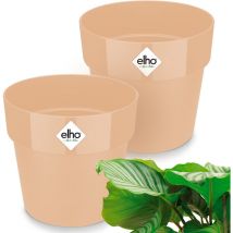 GARDEBRUK Blumentopf Sets b.for original 18x17cm Rund Übertopf Blumenkasten Pflanzentopf Pflanzkasten Pflanzkübel Kunststoff Blumenkübel Topf