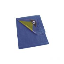 Garden - Perel Impuesto, 32 Ojales, ángulos Reforzados, rectangulares, Azul/Verde, 70 g/m², 6 x 10 m