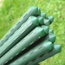 Plant Stake Bundle - 0.75m Long x 11mm ø (pack of 20)