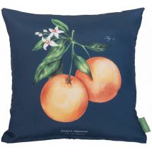 Almohada Cuadrado Decorativo para Interior/Exterior Resistente al Agua, Suave y Cómoda Cojín Impreso para Silla de Ratán 45x45, Naranja Marino Grande