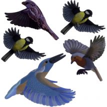 Vogelsilhouette heimische Vögel bunt 5 teilig