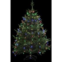 Ac-deco - Abito luminoso da esterno a 170 led multicolore da 3 m con trasformatore - Feeric lights & christmas