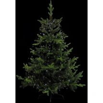 Vestido de luz exterior 3m blanco frío 170 led con transformador - Feeric lights & christmas