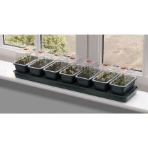 Garland - Super 7 Self Watering Windowsill Propagator - 14 Days Watering