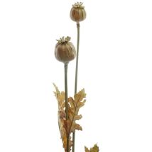 Herbstdeko Mohnzweig Natur hellbraun 74 cm - Kunstblumen - Gasper