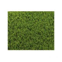 Exelgreen - Gazon Artificiel - Synthetique - Decoration 123103 - Park 40 mm - 1 x 5m