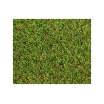 Exelgreen - Gazon Artificiel - Synthetique - Decoration 124414 - Natura 2D - 38mm / 1 x 5 m