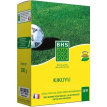 BHS - Gazon Kikuyu 25m² , boite de 300 grs - emballage abimé