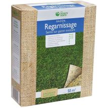 Gazon regarnissage enrichi 0,5 50