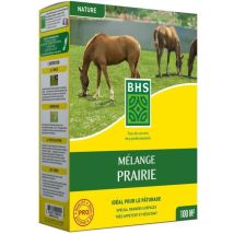 Serrurerie-boutique - Gazon - Bhs - Mélange Prairie 1kg 40m² Pour Zones Extensives Et Pâturage Installation Rapide, Résistant, Sans Entretie