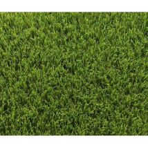 Exelgreen - Gazon synthétique 123103 - Park 40 mm - 1 x 5m
