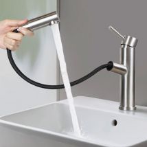 Gbly - Rubinetto del lavandino del bagno - Rubinetto estensibile - Miscelatore spazzolato con doccetta estraibile - Rubinetto dell'acqua fredda