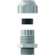 RST - gebraucht] 11180100 Kabelverschraubung 1'' Npt Polyamid 6 Klemmbereich Befestigung B-Ware