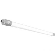 RZB - gebraucht] 24,5/53 w 4000 k 1669x61x50 Pc 451219.009 Led Wandleuchte Lampe Leuchte Spot B-Ware