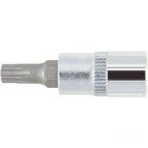 R42461406 Schraubendrehereinsatz 1/4' tx bo T25 Länge 37 mm