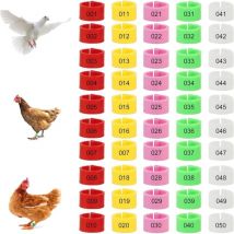 Geflügel Fußringe 100 Stück Hähnchen Beinringe Mehrfarbige Hähnchen Identifikation Beinbänder Nummerierter Clip an Geflügel Beinringen für Gamefowl