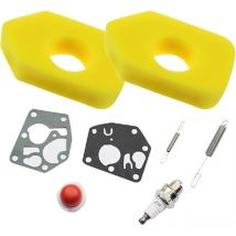 Lablanc - Gelber Schaumstoff-Luftfilter, Luftfilter mit Vergaser-Membranfedern für Briggs, Briggs Stratton 691859 692211 Gelber