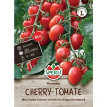 Tomaten Cherrytomate Monterrey F1 - Hybride - Gemüsesamen - Sperli
