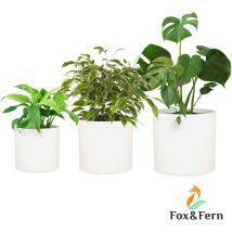 Blumfeldt - Gendt Pflanztopf Übertopf 3er-Set 3 Größen s/m/l Faserstein In/Outdoor