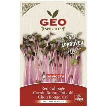 GEO - Germogli Di Cavolo Rosso bavicchi