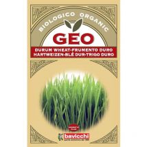Frumento Duro Semi da Germoglio, Marrone, 12.7x0.7x20 cm - GEO
