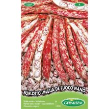 Germisem Borlotto Lingua De Fuoco Nano Semi Di Fagioli Francesi 100 G