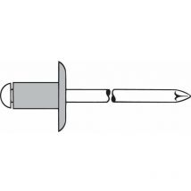 Rivet Alu Grande Testa K12 4 x 8Mm Gesipa a 500)