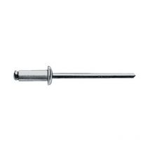 Rivetto A Strappo Gambo Rivetto Dxl 6.0x16.0mm Acciaio / Acciaio 250 Pezzi Gesipa Per 250)