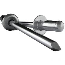 Gesipa - 1464829 Rivetto (ø x l) 4.8 mm x 10 mm Acciaio inox Acciaio inox 50 pz.