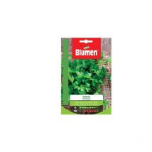 Gewöhnliche Petersiliensamen