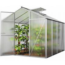 GFP Serre ECO-Star 4 cadre aluminium 192x256 cm Plaques double paroi 8 mm indéformables & résistantes aux intempéries