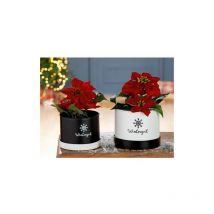 Metall Pflanztopf Winterzeit 21137 - Gilde