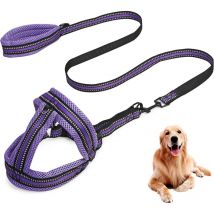 Gilet Chiot avec Ceinture en Cuir (Violet l) Fei Yu