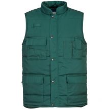Gilet Shetland Vert bouteille l