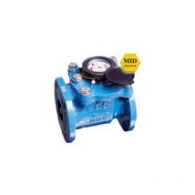 Contatore d'acqua Woltmann estraibile super dry warf 50 da 2 pollici - Gioanola