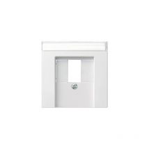 087627 abdeckung bsf tae+stereo+usb system 55 REINWEIß matt - Gira