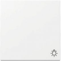 Gira Wippe 328503 Symb.licht Sys.55 Rws