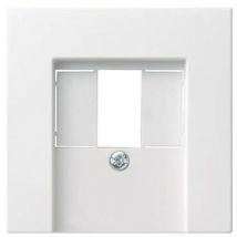 Gira - Zentralplatte Usb/tae 1-fach Reinweiß Glänzend System 55 027603 Schraubbef