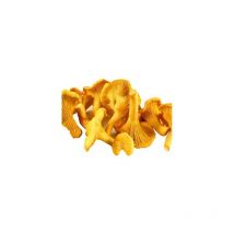 GIROLLES - Champignons - BOCAL DE 30 G