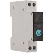 Gistuch Commutateur de Compteur Électrique - Commutateur WIFI Intelligent - Télécommande de Téléphone Sans Fil et 3 Fonctions de Mode de