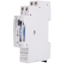 Gistuch - Minuterie avec minuterie pour Une Commutation Facile des néons, Chauffe-Eau, lanternes, systèmes d'irrigation