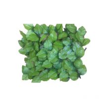 Gitterrosenblätter Jet7garden 1,00x2,00m - weichgrün