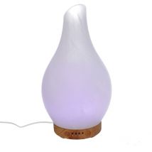 Glasdiffusor mit Stecker cmø13,2h24,8