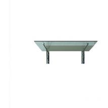 Glaszentrum Hagen - Auvent en verre transparent 120x90 cm - Transparent - incl. Support en acier