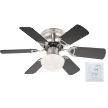 Ceiling fan Ugo Beech / Graphite with light - Globo