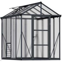Serre de jardin en aluminium gris et polycarbonate Glory 4.8m²